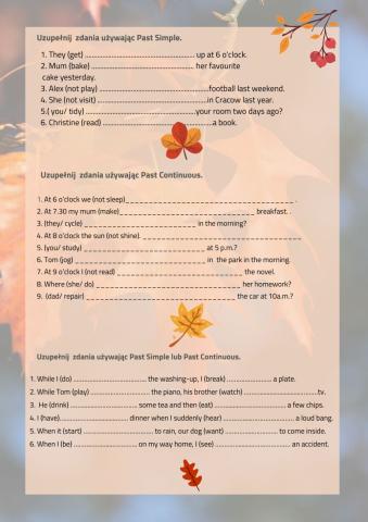 Past simple and Past continuous exercises