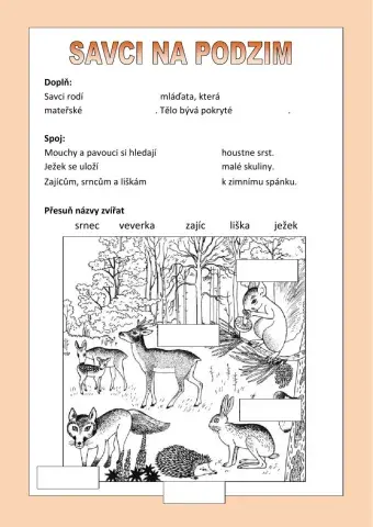 Savci na podzim