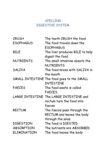 Process of digestion