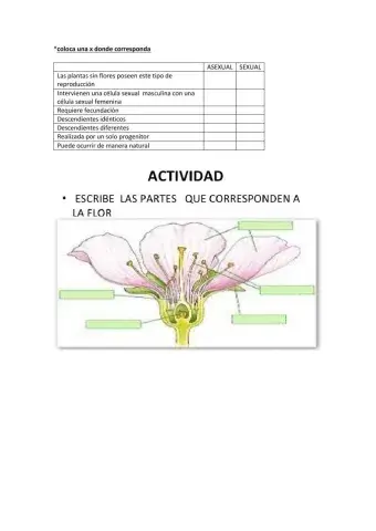 Reproducción asexual y sexual