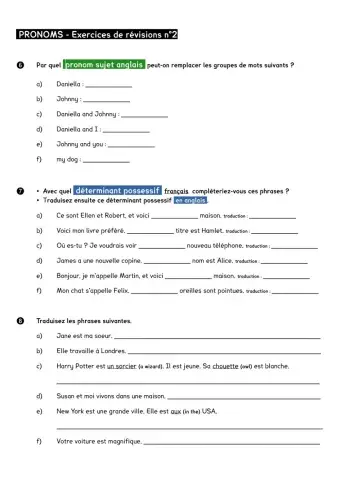Pronouns (subject and possessive adjective 3)