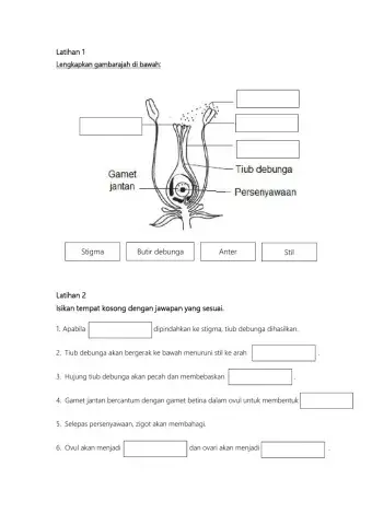 Proses persenyawaan dalam tumbuhan