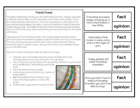 Fact and Opinion Homework