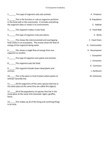 Ecosystem Vocabulary