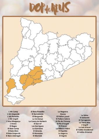 DOP de REUS