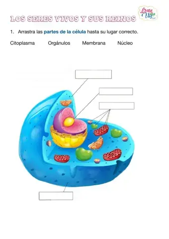 Los seres vivos y sus reinos