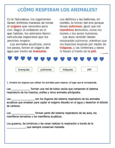 Cömo respiran los animales