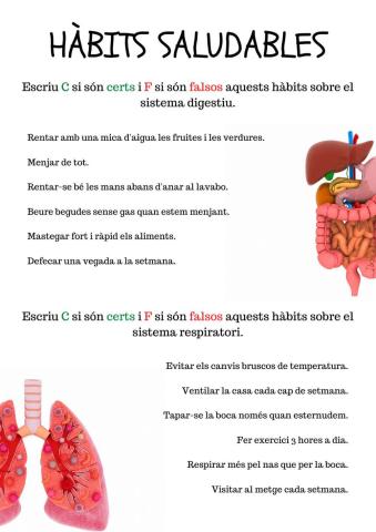 HÀBITS SALUDABLES: digestió i respiració