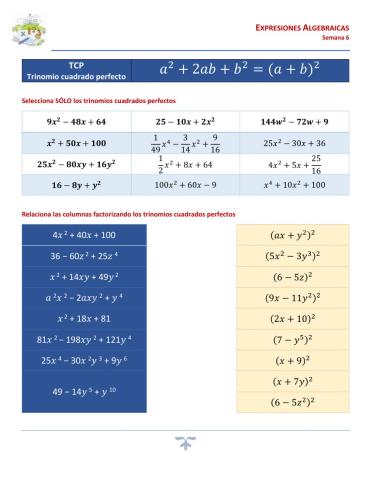 II.3.6.Trinomio cuadrado perfecto