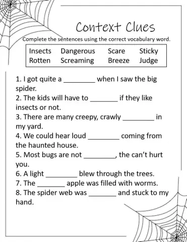 Diary of a Spider Vocabulary