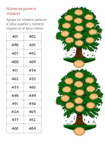 Números pares e impares