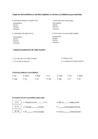 Demostrativos, posesivos y acentuación