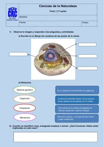 Naturales. Tema 1. 1ª parte