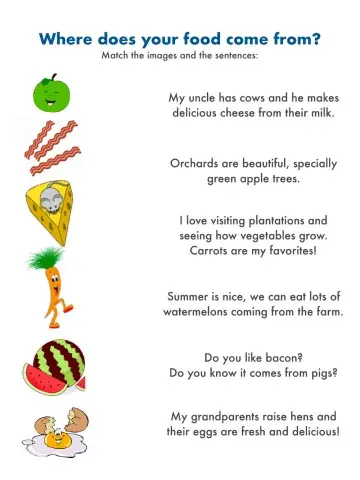 Where does food come from?