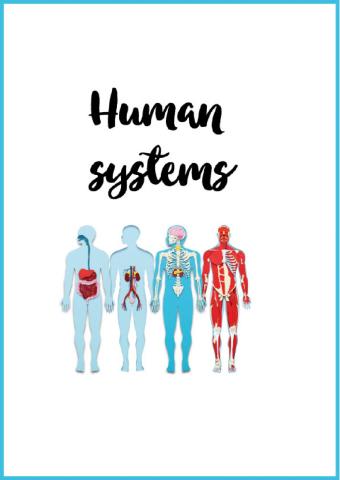 Human systems