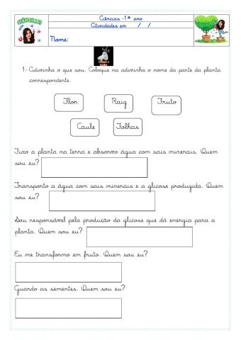 Atividade de ciências 28