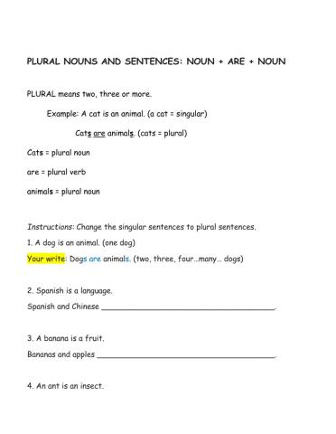 Plural Nouns and Sentences