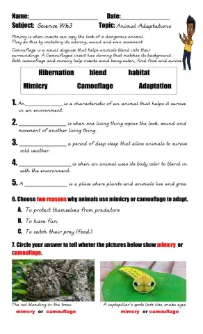 Animal Adaptation-Mimicry Camouflage wk3