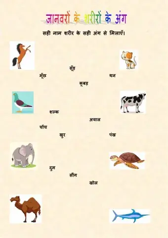 जानवरों के शरीरों के अंग - Części ciał zwierząt