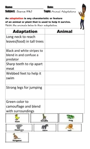 Animal Adaptations