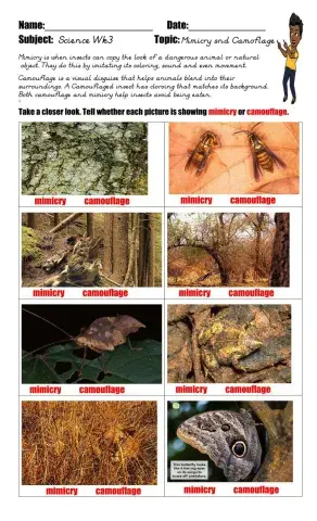 Camouflage and Mimicry