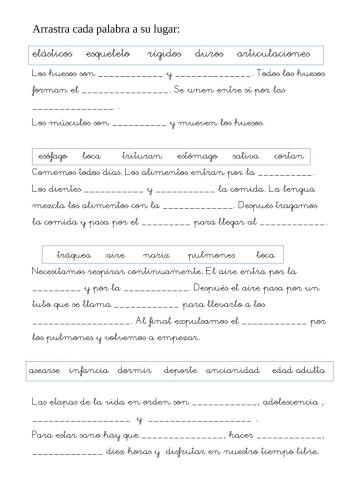 Respiración, digestión, etapas de la vida