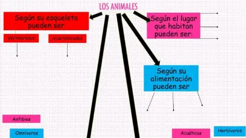 Los animales