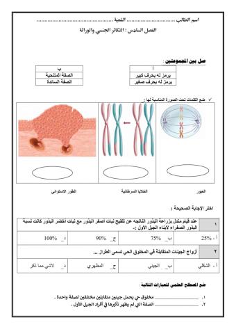 الوراثة