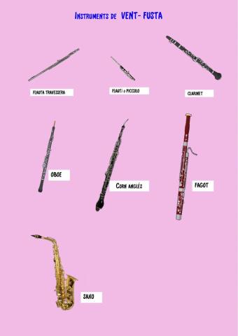 Instrument Vent-fusta