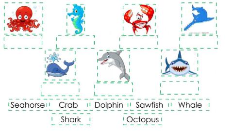 Animales del mar en inglés