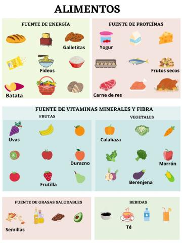 Alimentos saludables- Vocabulario