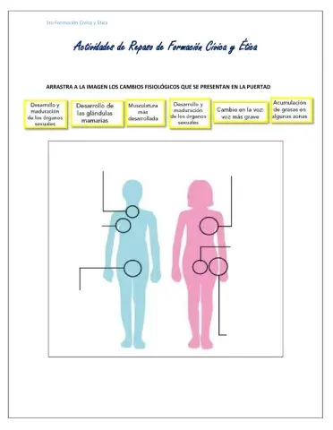 Repaso de Formación Cívica y Ética 1