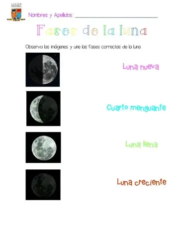 Fases de la luna