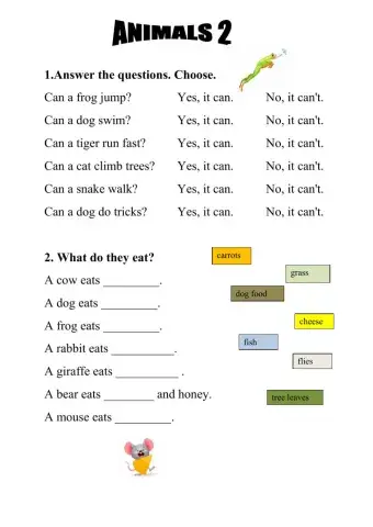 Animals - exercise pack