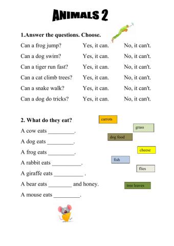 Animals - exercise pack