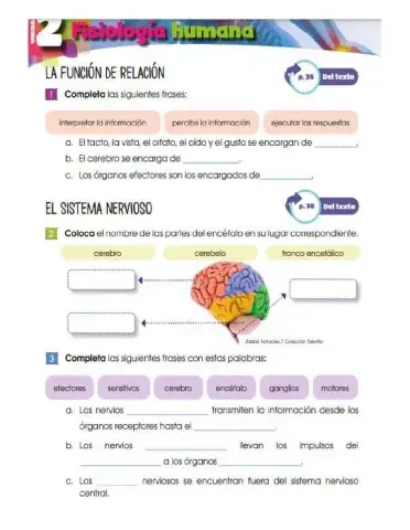 La función de relación y sistemas