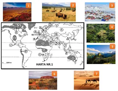 Fișa de lucru nr.1-tipuri de medii
