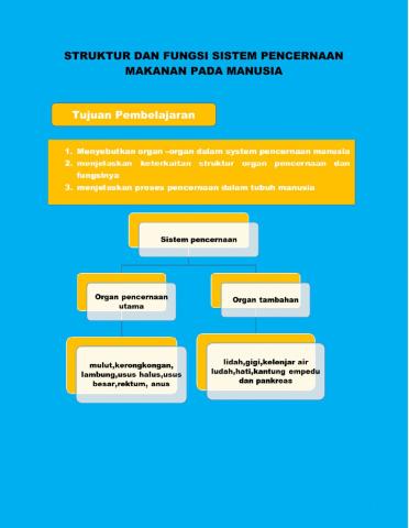 Struktur dan fungsi sistem pencernaan