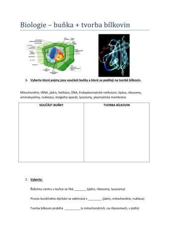 Biologie - Buňka + tvorba bílkovin
