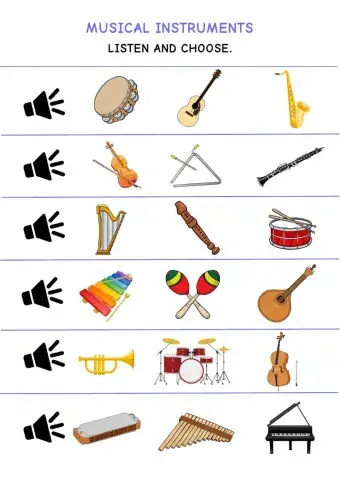 Musical Instruments