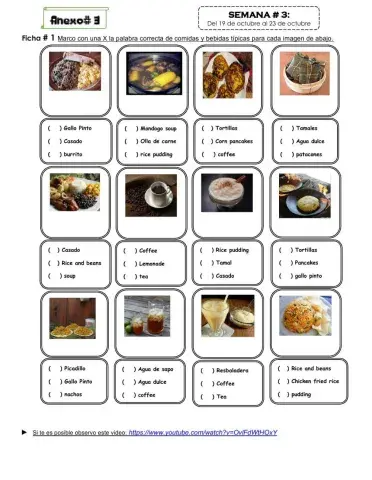 Costa Rican Typical Food