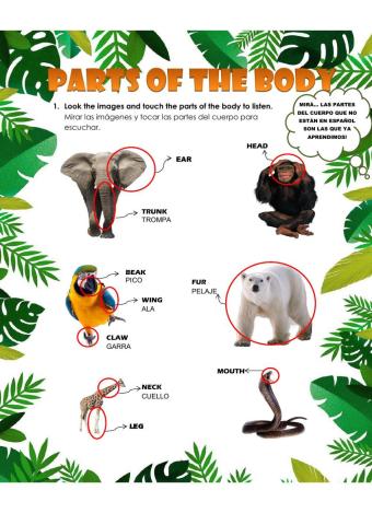 Description of animals