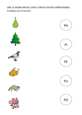 Letra P (PA, PE, PI, PO, PU)