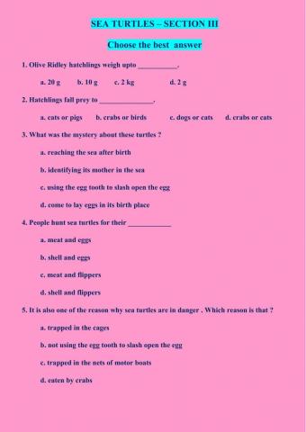 Sea turtles SECTION 3