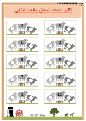 العدد السابق والعدد التالي