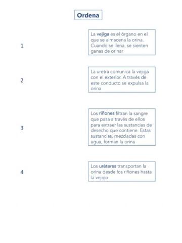 Sistema Excretor Unir