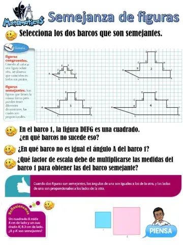 Semejanza y congruencia