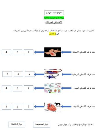 الانظمة في الحيوانات