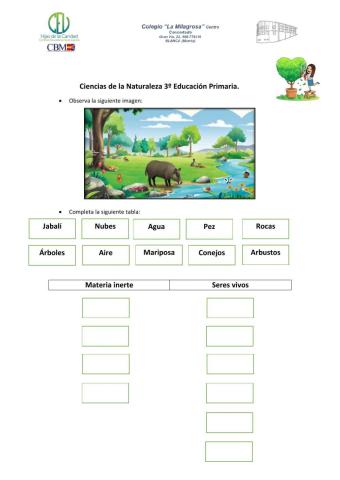 Seres vivos y Materia inerte