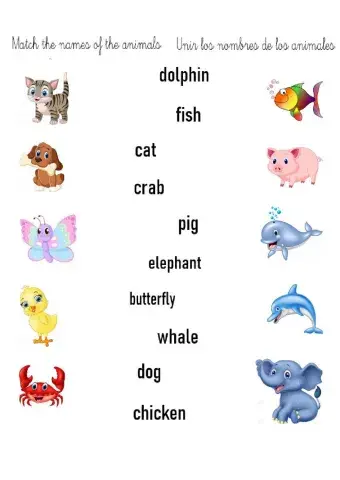 Animales en inglés